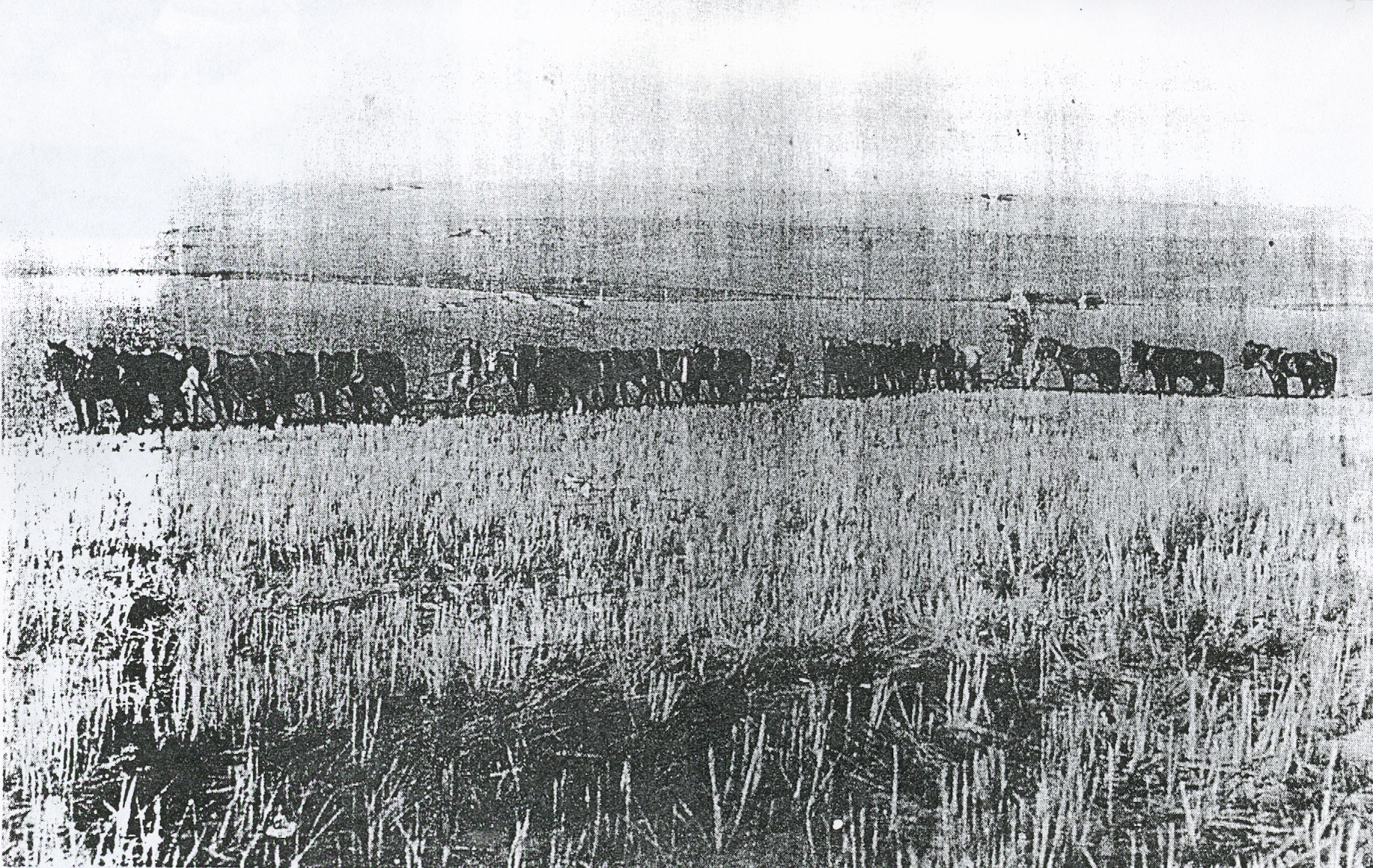 Plowing
