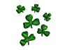 clovers1.gif (1181 bytes)